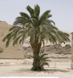 Photo Textures of Nature